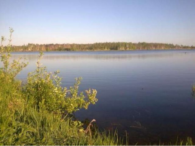 Земля в деревне, огромное озеро в городе Орехово-Зуево, фото 3, Московская область