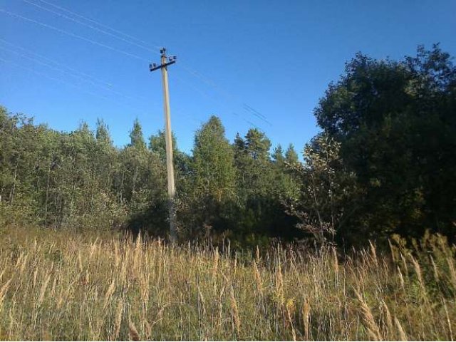 18 соток в п.Судаково, Приозерский район в городе Приозерск, фото 5, Ленинградская область