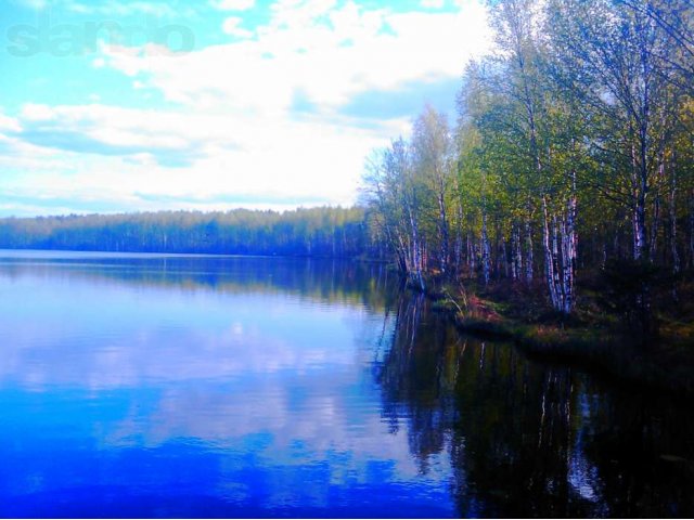 Участок под поместье 30сот.у леса 55км по Дмитровке!!! в городе Дмитров, фото 1, Московская область