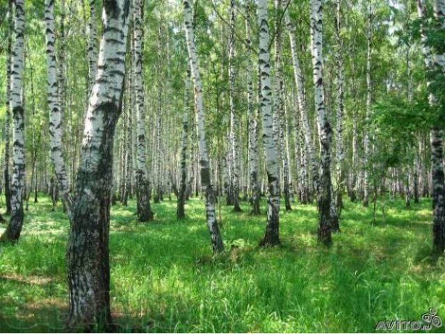 Земельный участок в красивом месте в городе Рязань, фото 3, Продажа земли под индивидуальное строительство