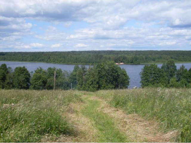 Купить Участок В Селе Лебедевка Пензенской Области