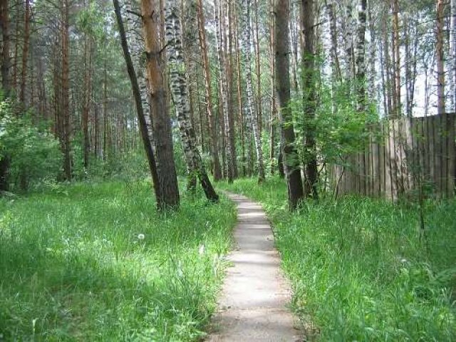 Участки дачные Раменский р-н 47 км в городе Раменское, фото 2, Московская область