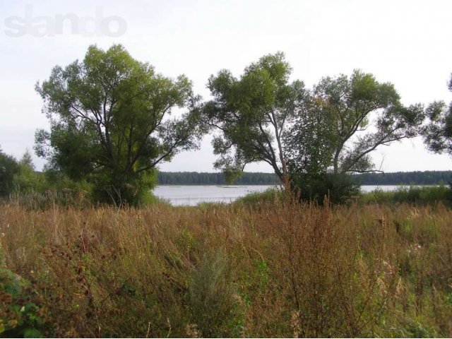 Земля в Мещерском заповеднике! в городе Шатура, фото 2, Московская область