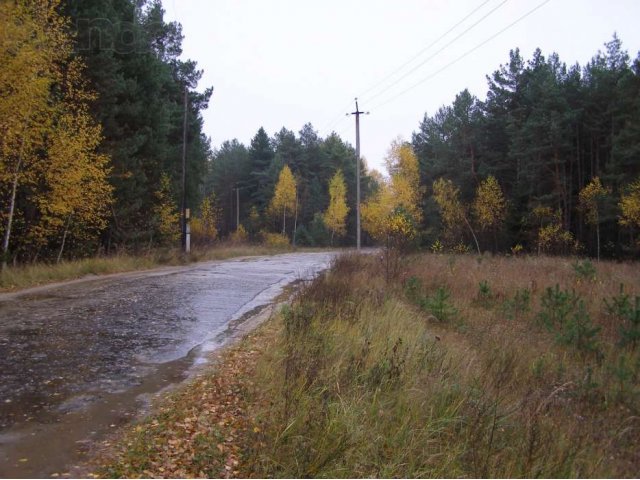 Земля в Мещерском заповеднике! в городе Шатура, фото 4, Продажа земли под индивидуальное строительство