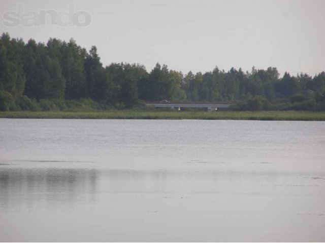 Земля в Мещерском заповеднике! в городе Шатура, фото 5, Московская область