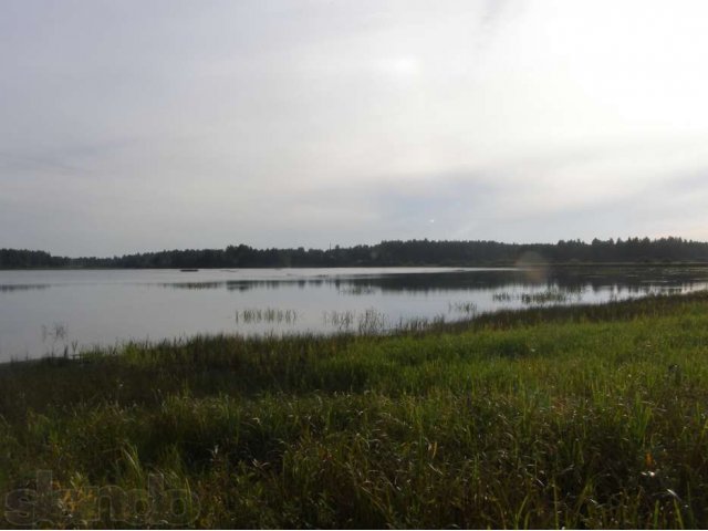 Земля в Мещерском заповеднике! в городе Шатура, фото 8, Московская область