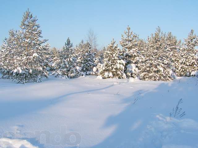 Горьковское шоссе, 65 км от МКАД, д. Быково, участок 15 соток, ИЖС. в городе Павловский Посад, фото 4, стоимость: 950 000 руб.