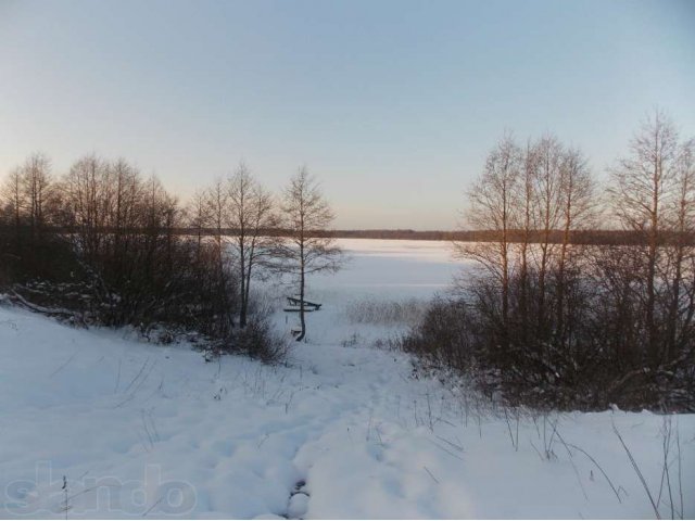 Земля в д.Савикино в городе Кингисепп, фото 1, стоимость: 500 000 руб.