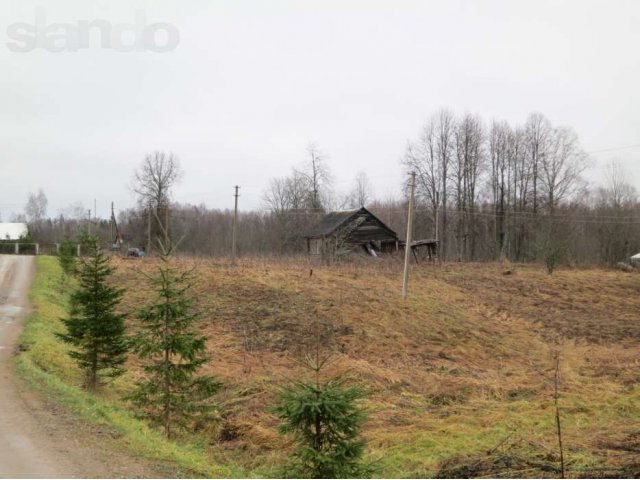 Продается участок, Киришский район, деревня 14сот в городе Санкт-Петербург, фото 3, Ленинградская область