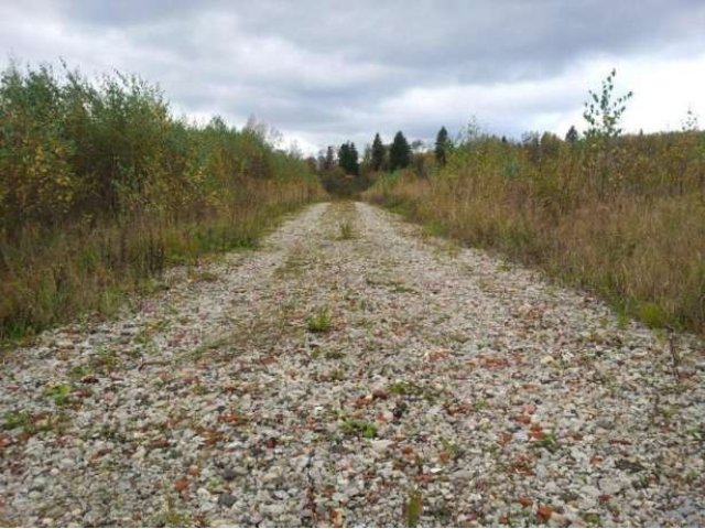 Земельный участок ИЖС у леса в городе Лобня, фото 4, Московская область