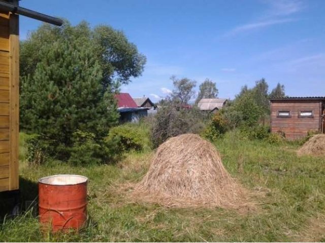 Освоенный участок ПХЛ  пгт Черусти в городе Шатура, фото 7, стоимость: 310 руб.