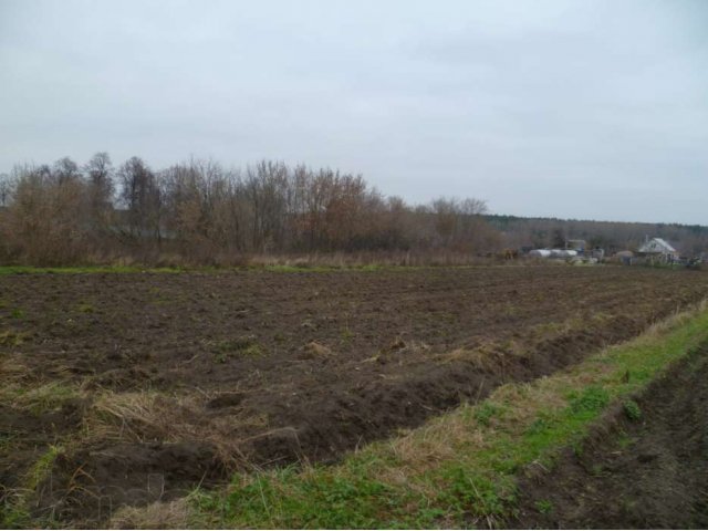 Продам отличный участок под ИЖС в с. Константиново в городе Воскресенск, фото 1, стоимость: 2 500 000 руб.