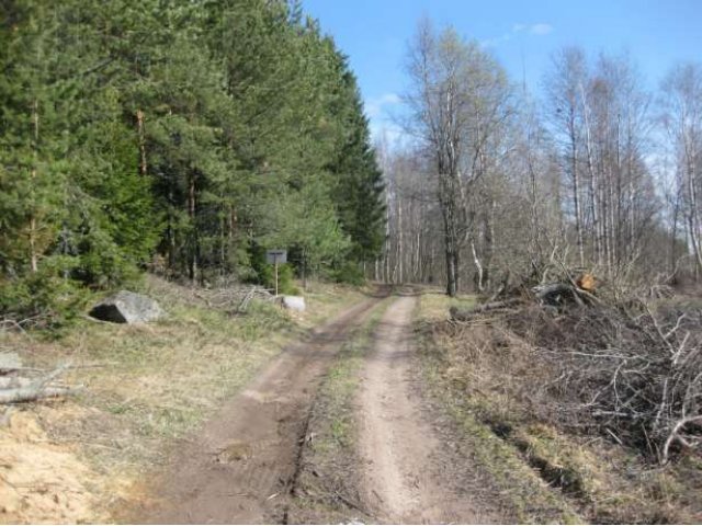 Земельный участок на берегу Ладожского озера в городе Петрозаводск, фото 2, стоимость: 550 000 руб.