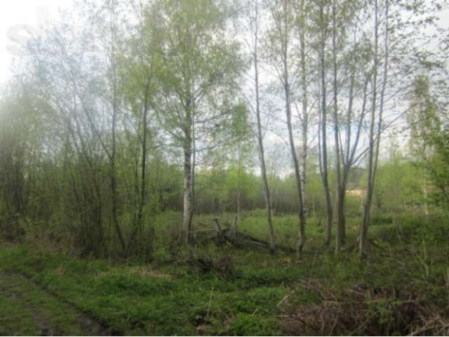 Земельный участок на берегу Ладожского озера в городе Петрозаводск, фото 6, Продажа земли под индивидуальное строительство