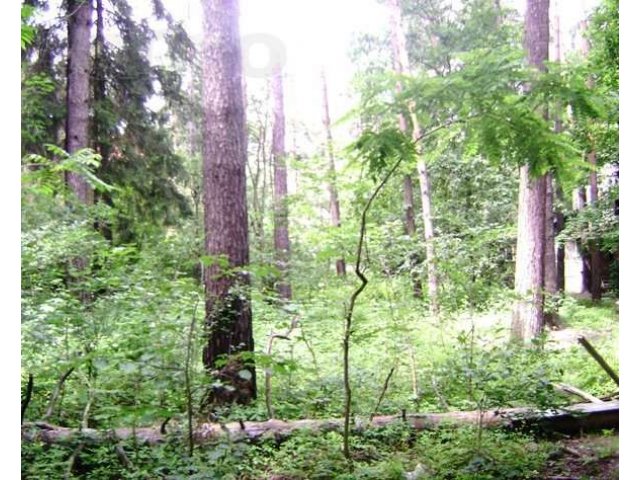 Кратово. ИЖС. ПМЖ. Участок 9,3 сотки в городе Жуковский, фото 1, стоимость: 7 000 000 руб.