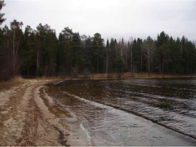 Участок на берегу Онежского озера 5,12 га в городе Петрозаводск, фото 3, Карелия