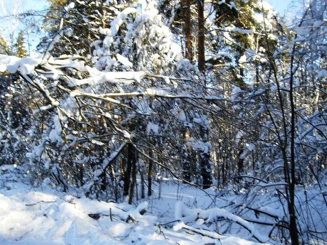 Кратово. Участок 15 соток. в городе Жуковский, фото 1, стоимость: 6 700 000 руб.