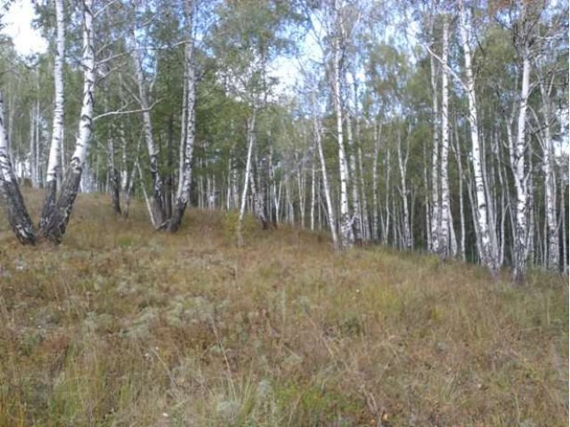 Ново-Абзаково в городе Магнитогорск, фото 4, стоимость: 1 100 000 руб.