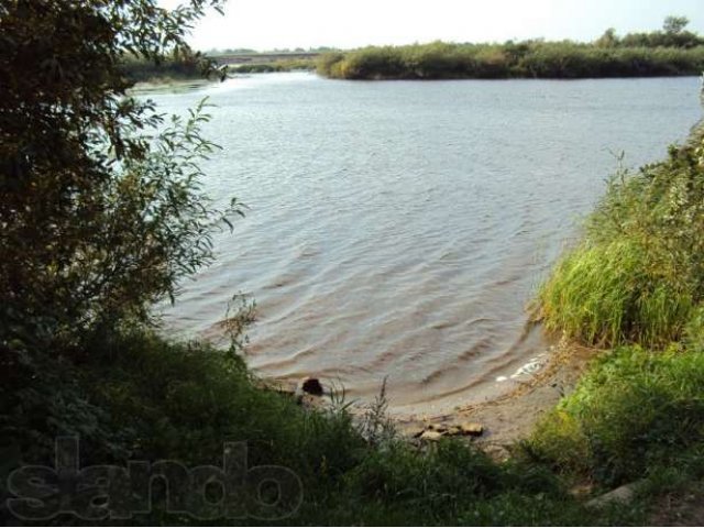 Участок 16 сот. Рядом лес, река. в городе Санкт-Петербург, фото 1, стоимость: 600 000 руб.