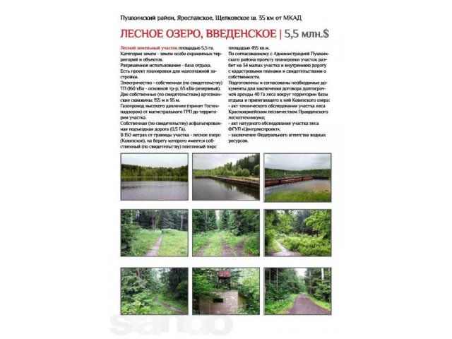 Лесной земельный участок 5,5 га в городе Химки, фото 8, Московская область