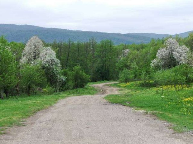 Купить Участок В Станице Саратовской Краснодарского