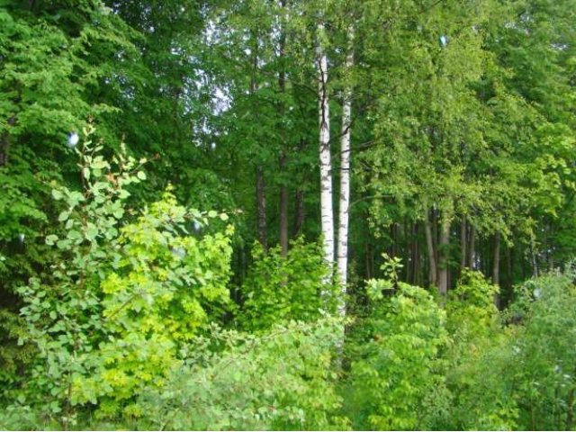 Продаю участок, Калужское шоссе, д. Воробьи в городе Наро-Фоминск, фото 1, Московская область