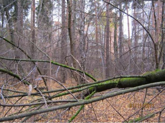 Продается садовый участок, Пушкинская улица, д. 7А в городе Королёв, фото 6, стоимость: 5 500 000 руб.