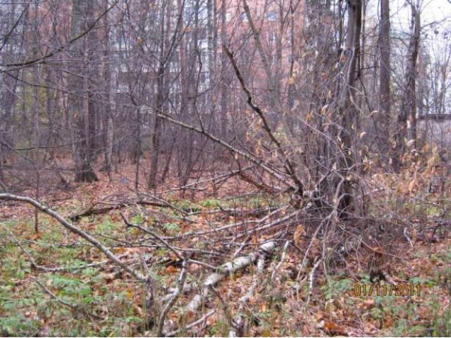 Продается садовый участок, Пушкинская улица, д. 7А в городе Королёв, фото 7, Продажа земли под индивидуальное строительство