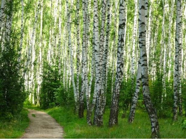 Ближайший участок для пмж, Белоозерский в городе Воскресенск, фото 3, Московская область