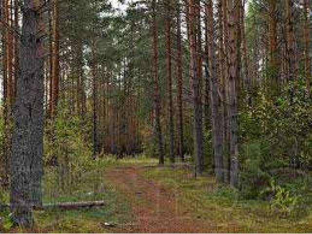 Потрясающий видовой участок в городе Остров, фото 3, Псковская область