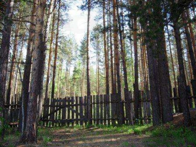 Садовый участок в г. Сысерть, к/с «Калинка» в городе Сысерть, фото 1, стоимость: 230 000 руб.