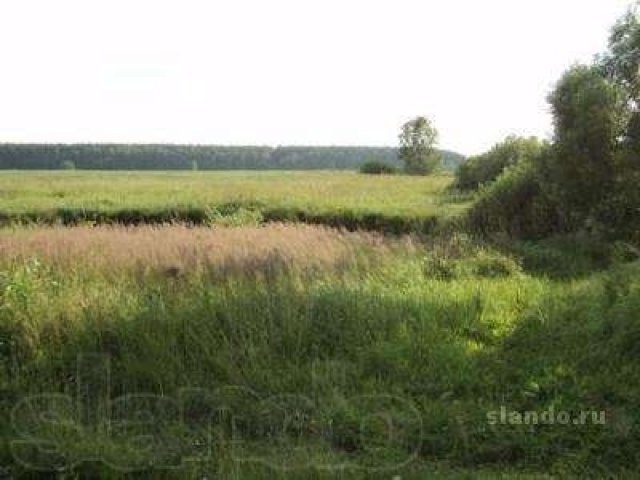 Участок д. Кутузово в городе Домодедово, фото 1, Московская область