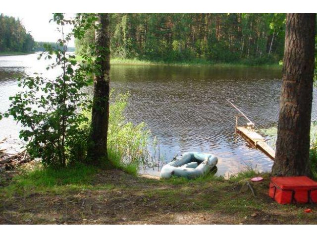 Дачный участок 8 соток не дорого в городе Павловский Посад, фото 3, Продажа земли под индивидуальное строительство