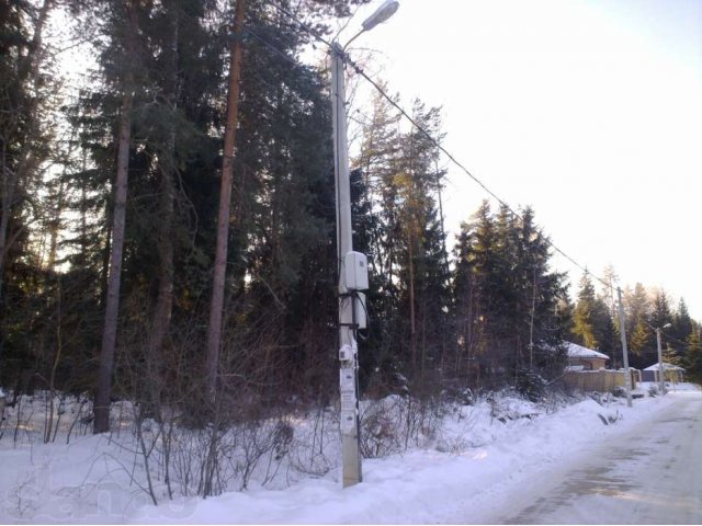 Участок 20сот с елями в днп Ветеран в городе Домодедово, фото 3, Продажа земли под индивидуальное строительство