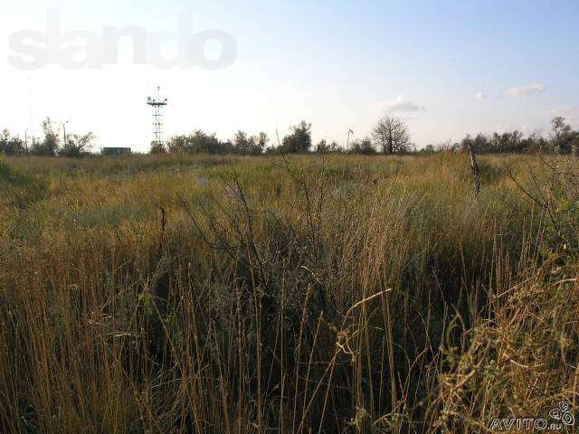 Участок на берегу Азовского моря (Ачуево) в городе Приморско-Ахтарск, фото 3, Краснодарский край