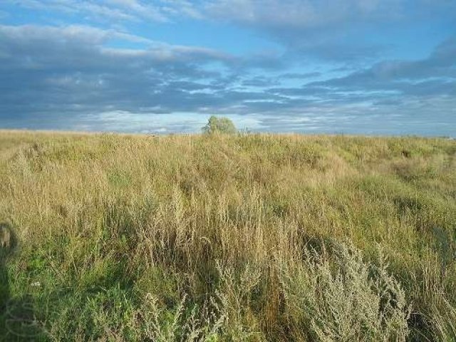 ПРОДАЖА участок в Раменском районе Срочно! НЕДОРОГО! ПМЖ в городе Жуковский, фото 1, Московская область