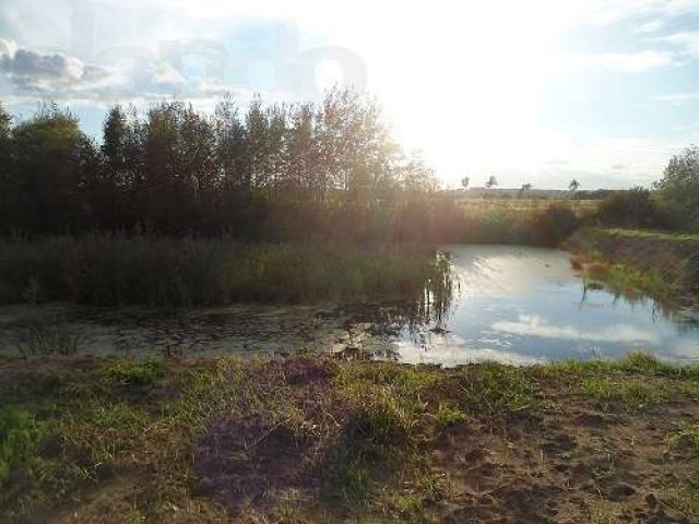 ПРОДАЖА участок в Раменском районе Срочно! НЕДОРОГО! ПМЖ в городе Жуковский, фото 3, Продажа земли под индивидуальное строительство