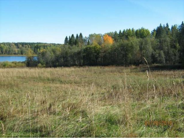 2 га и 15 соток берег озера п.Куликово. в городе Лахденпохья, фото 2, Карелия