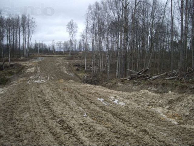 Продаю участок 12 соток СНТ Защита Токсово в городе Санкт-Петербург, фото 2, Ленинградская область