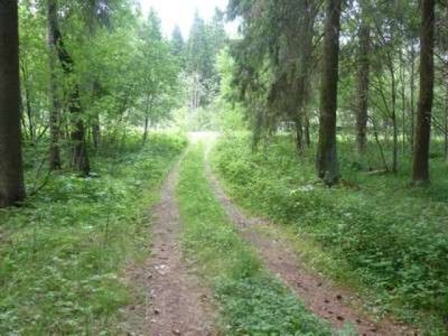 Участки на берегу Ладожского озера, ИЖС, 15 соток в городе Санкт-Петербург, фото 2, Ленинградская область