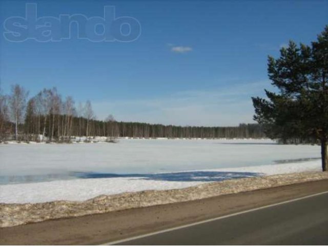 Продаётся участок в п.Шапки 21 сотка ИЖС в городе Тосно, фото 1, стоимость: 2 450 000 руб.