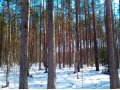 Проджа участков в репино. в городе Санкт-Петербург, фото 1, Ленинградская область