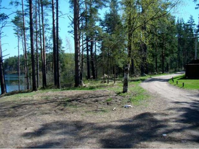 Земельный участок ИЖС 20сот. у озера Петровское в городе Санкт-Петербург, фото 3, стоимость: 6 870 000 руб.