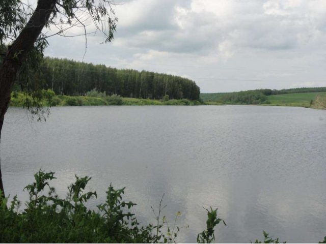 Продаю земельный участок в д. Калмаш в городе Набережные Челны, фото 3, стоимость: 630 000 руб.