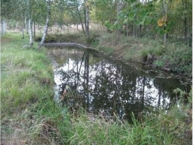 Продам участок д.Ладога Тосненский район в городе Санкт-Петербург, фото 1, Ленинградская область