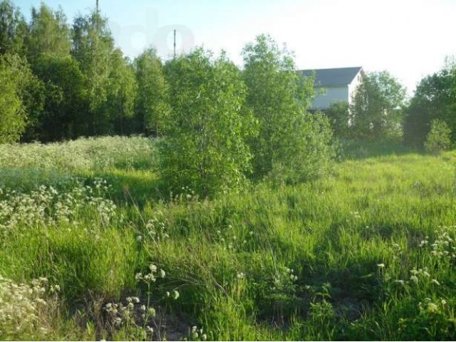 Г. Павловск п. Глинки 15 сот. ижс в городе Санкт-Петербург, фото 1, Продажа земли под индивидуальное строительство