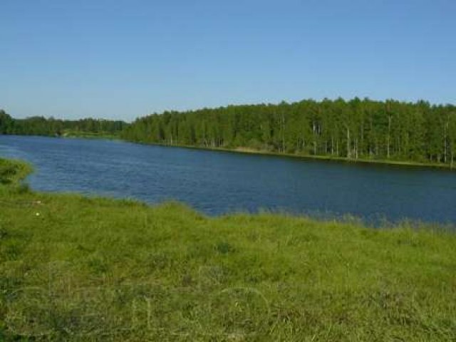 Продается полуостров на Десногорском водохранилище в городе Десногорск, фото 8, Смоленская область