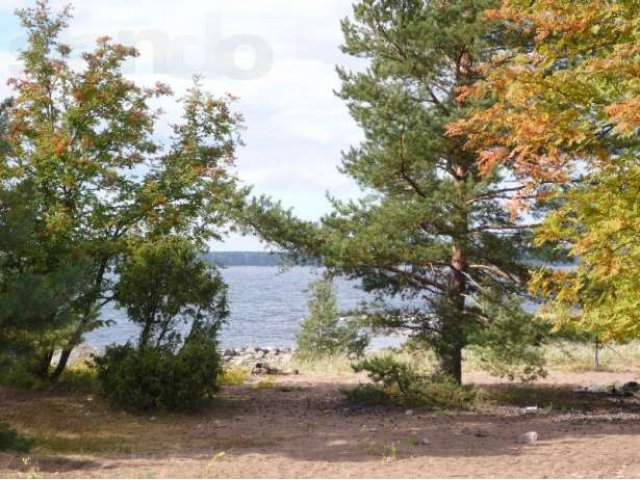 Продаю участок на берегу Финского залива в городе Приморск, фото 2, Ленинградская область