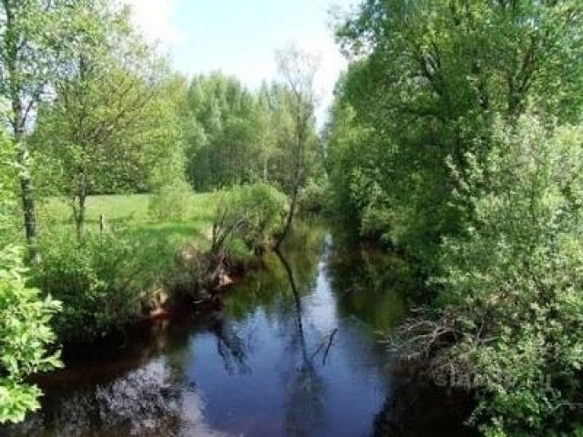 Участок в Волочаевке 20 соток около реки. в городе Выборг, фото 2, Ленинградская область