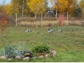 Участок в элитной деревне на р. Луга в городе Санкт-Петербург, фото 2, стоимость: 1 550 000 руб.